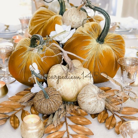 โจ CARPEDIEM1430 โจ - Picture 1 of 14